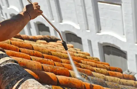 Nettoyage de toitures - Praz-sur-Arly